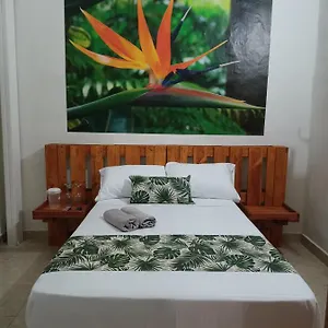 Casa-hotel Boutique El Jardín De , Envigado Colombia